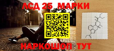 мдпв Кандалакша