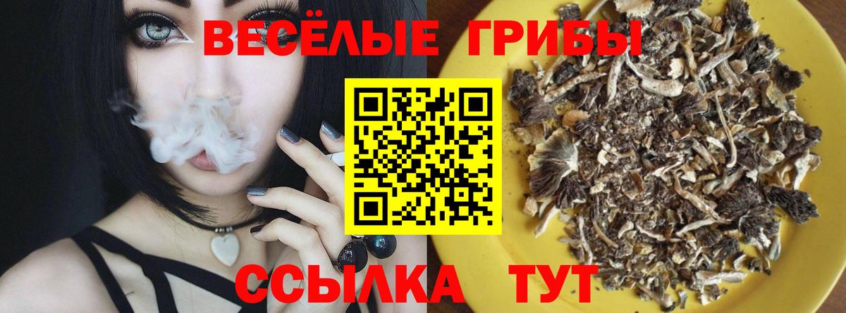Галлюциногенные грибы Magic Shrooms Королёв